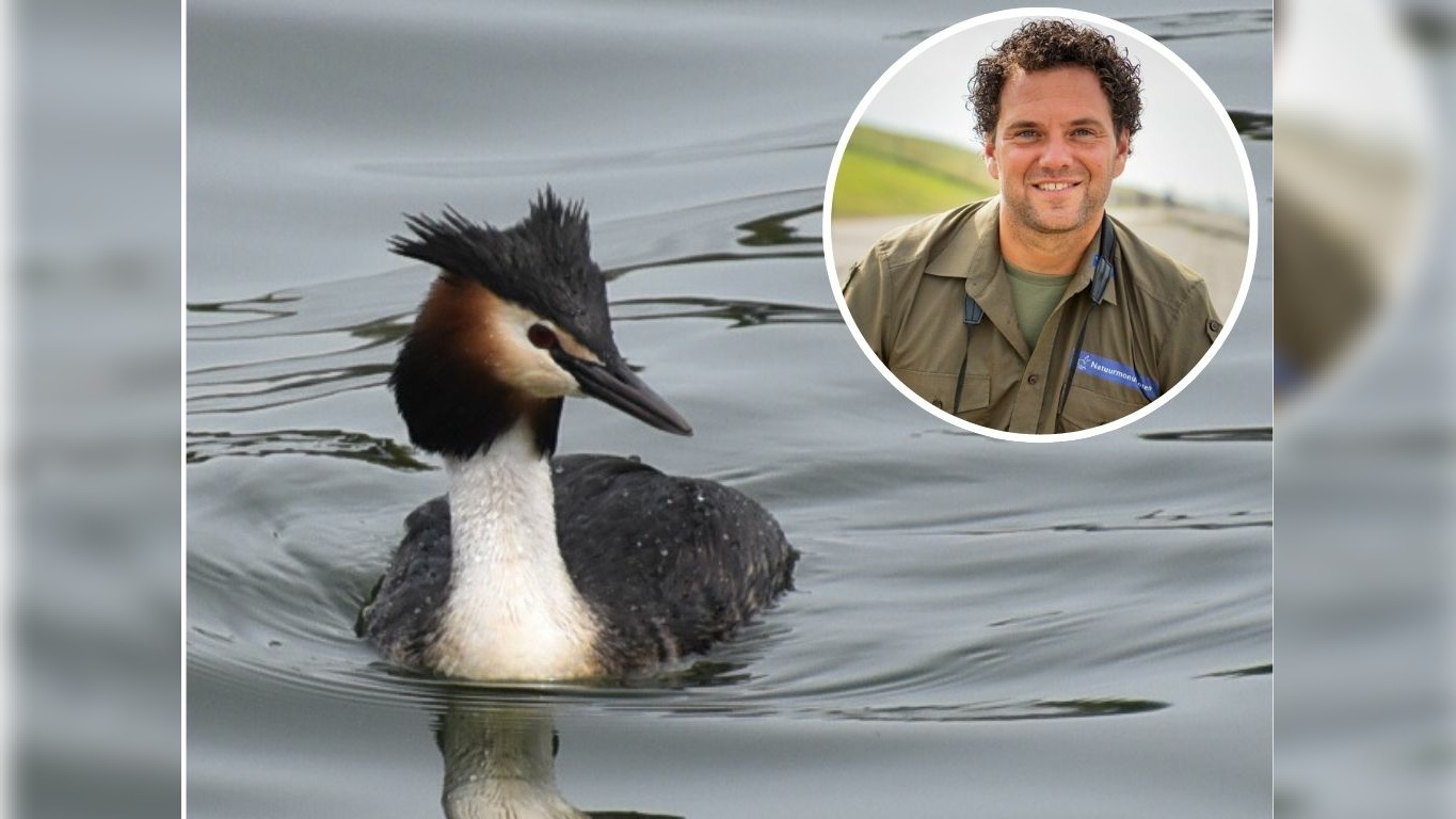 Boswachter Paul ziet bij de waterpartijen een 'beetje onwerkelijk tafereel' in deze tijd van het jaar