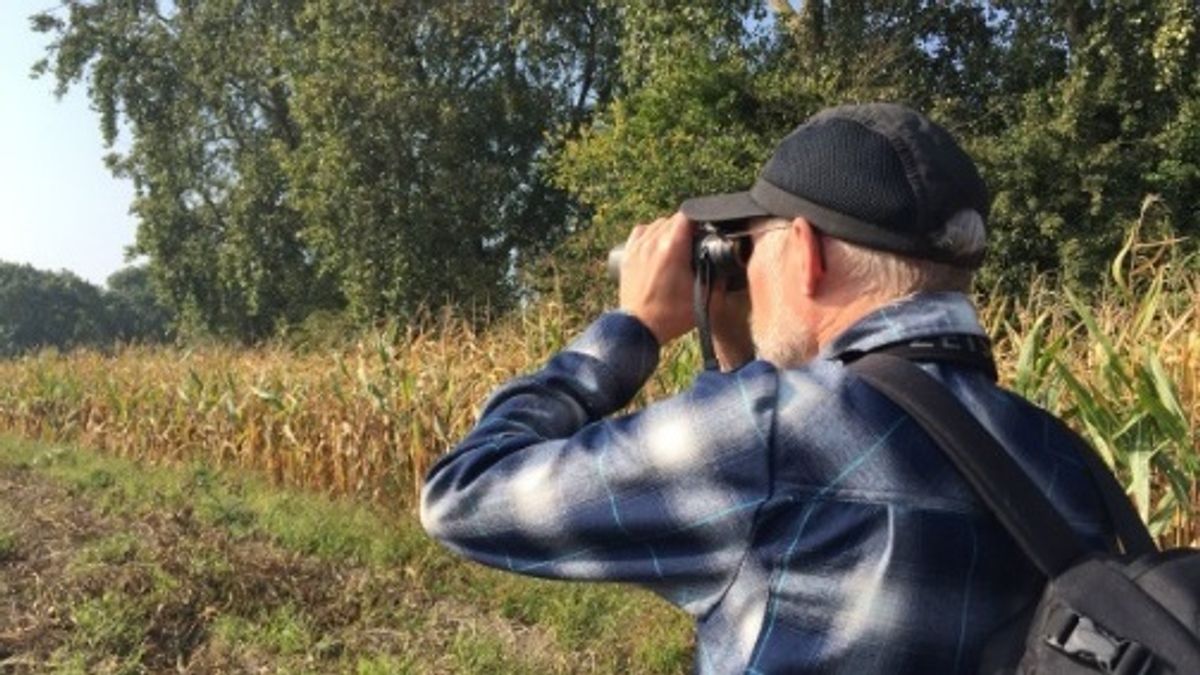 Jacht op Aziatische hoornaar geopend en weer gesloten
