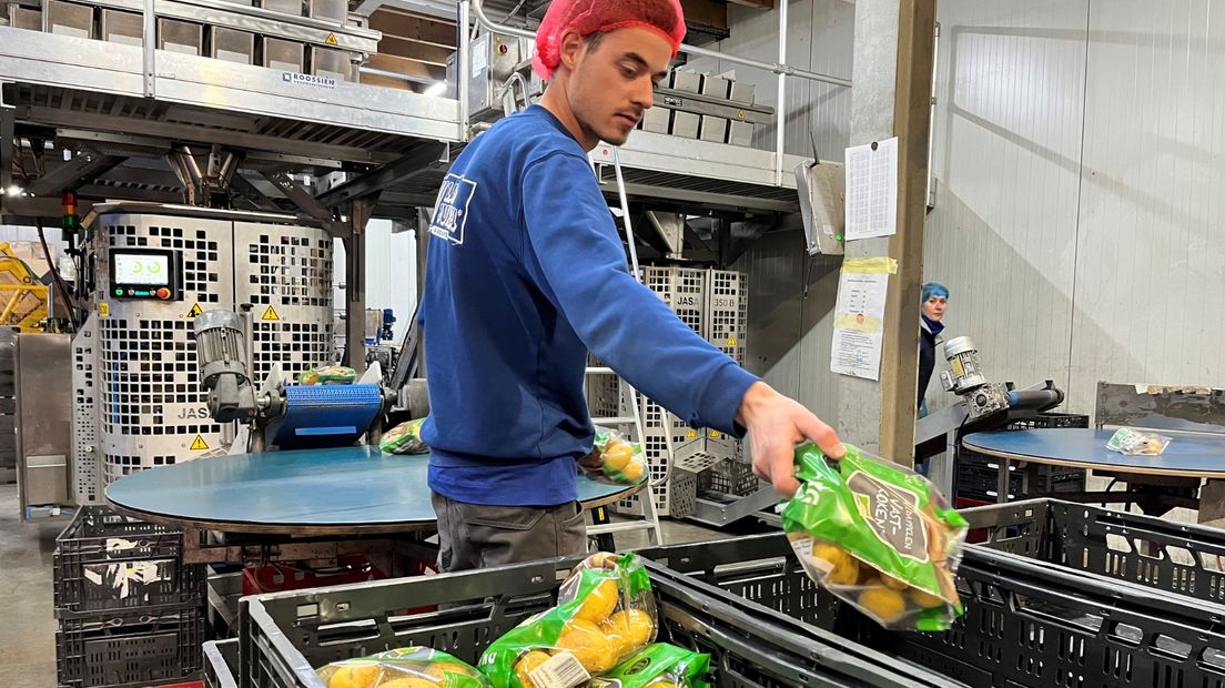 Vele zakjes met aardappelen gaan dagelijks richting de supermarkt