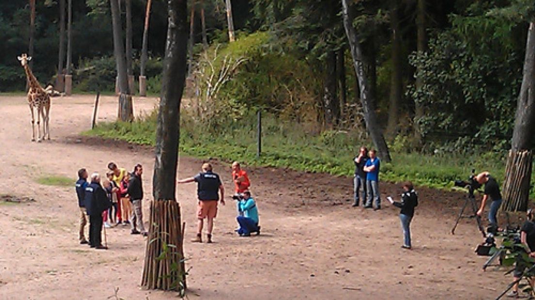 Burgers' Zoo in Arnhem is het decor voor een nieuwe kinderserie.