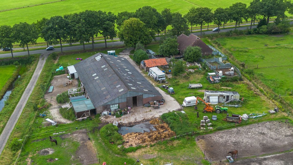 72 verwaarloosde honden uit boerderij in Oosterwolde gehaald, één pup was al dood