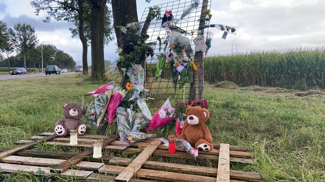 Herdenkingsmonument langs de Slingerparallel, vlak bij de plek van het dodelijke ongeval.