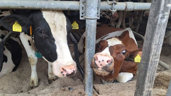 Foto: Oplossing voor stoppende boeren: 'We houden het overeind'