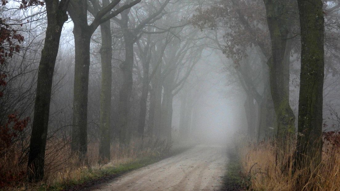 Mist in Koningslust 