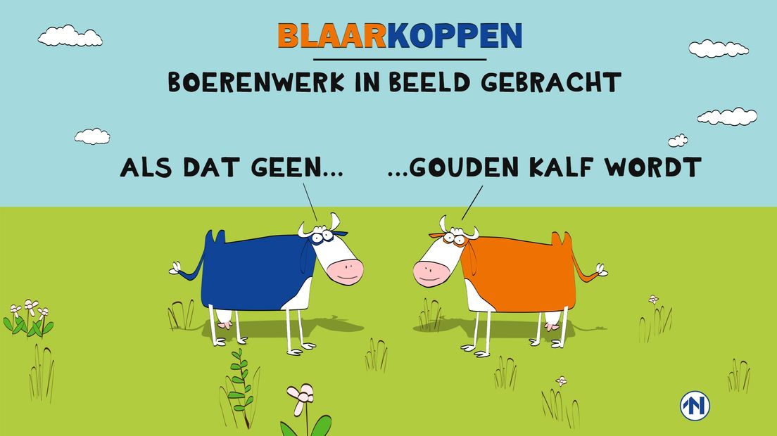 Onze blaarkoppen