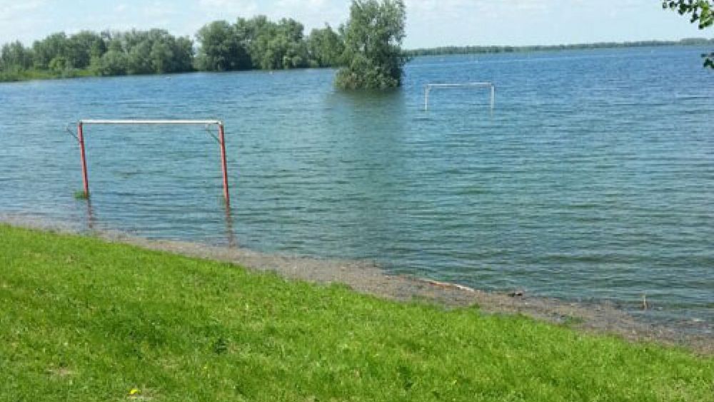 Waterstand Rijn hoger dan verwacht - Omroep Gelderland
