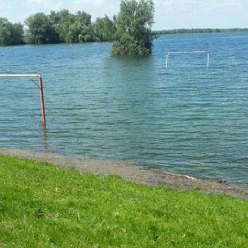 Waterstand Rijn hoger dan verwacht - Omroep Gelderland