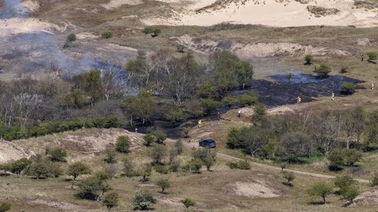 Bijna drie keer zoveel natuurbranden in regio: 'Droge vegetatie kan sneller vlamvatten' Home
