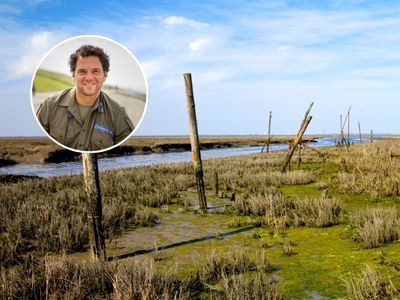 Geen ratten, wel lepelaars: boswachter Paul tipt dit onbekende haventje aan de Oosterschelde