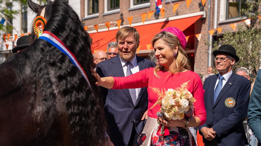 Alle vervoegingen van het werkwoord teruglezen onregelmatige werkwoorden