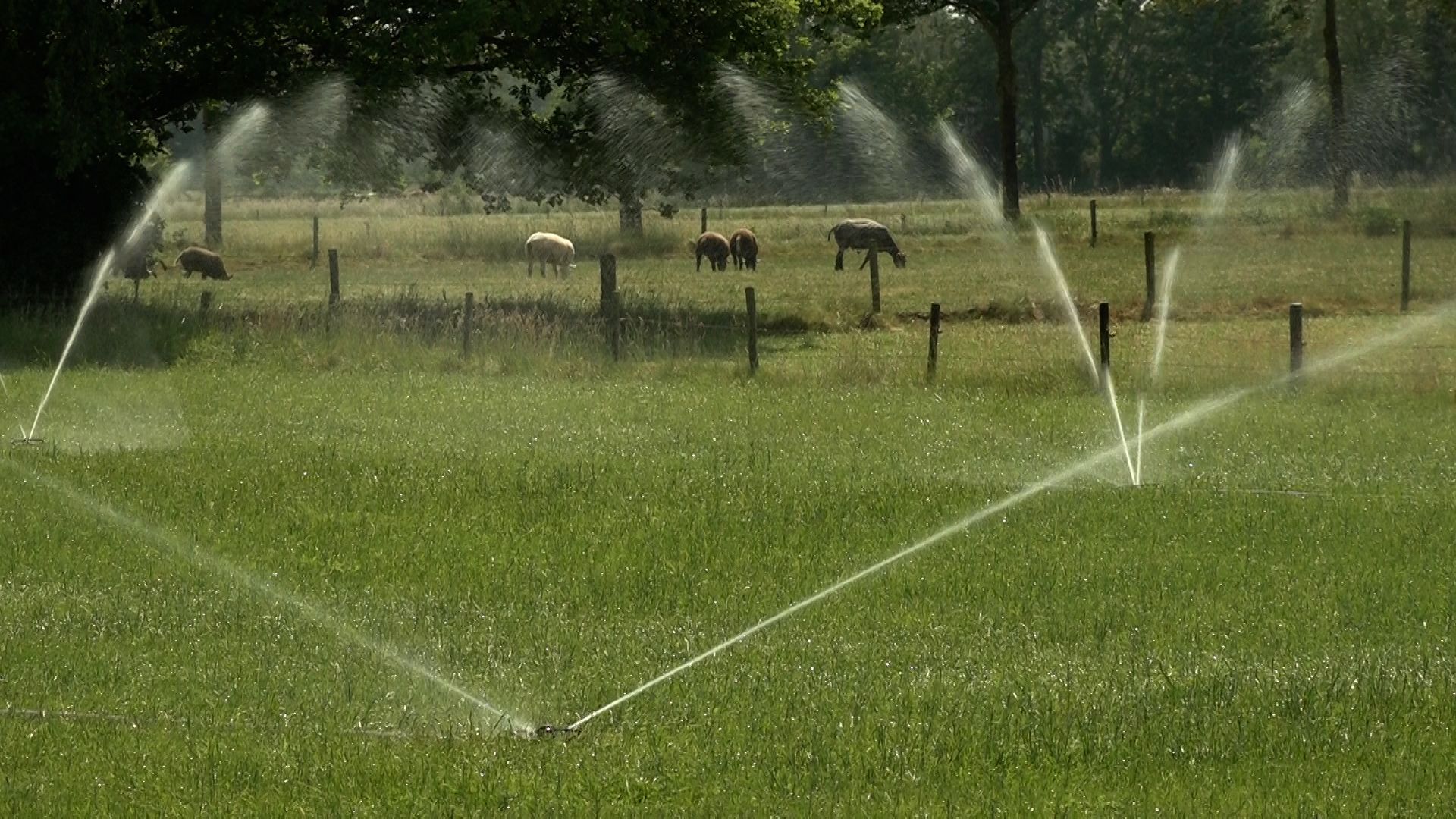 Droogte dwingt waterschap tot ingrijpen: oppompen van water verboden.