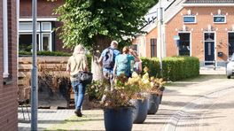 Hoe gaat het met de wilde planten in Drenthe?