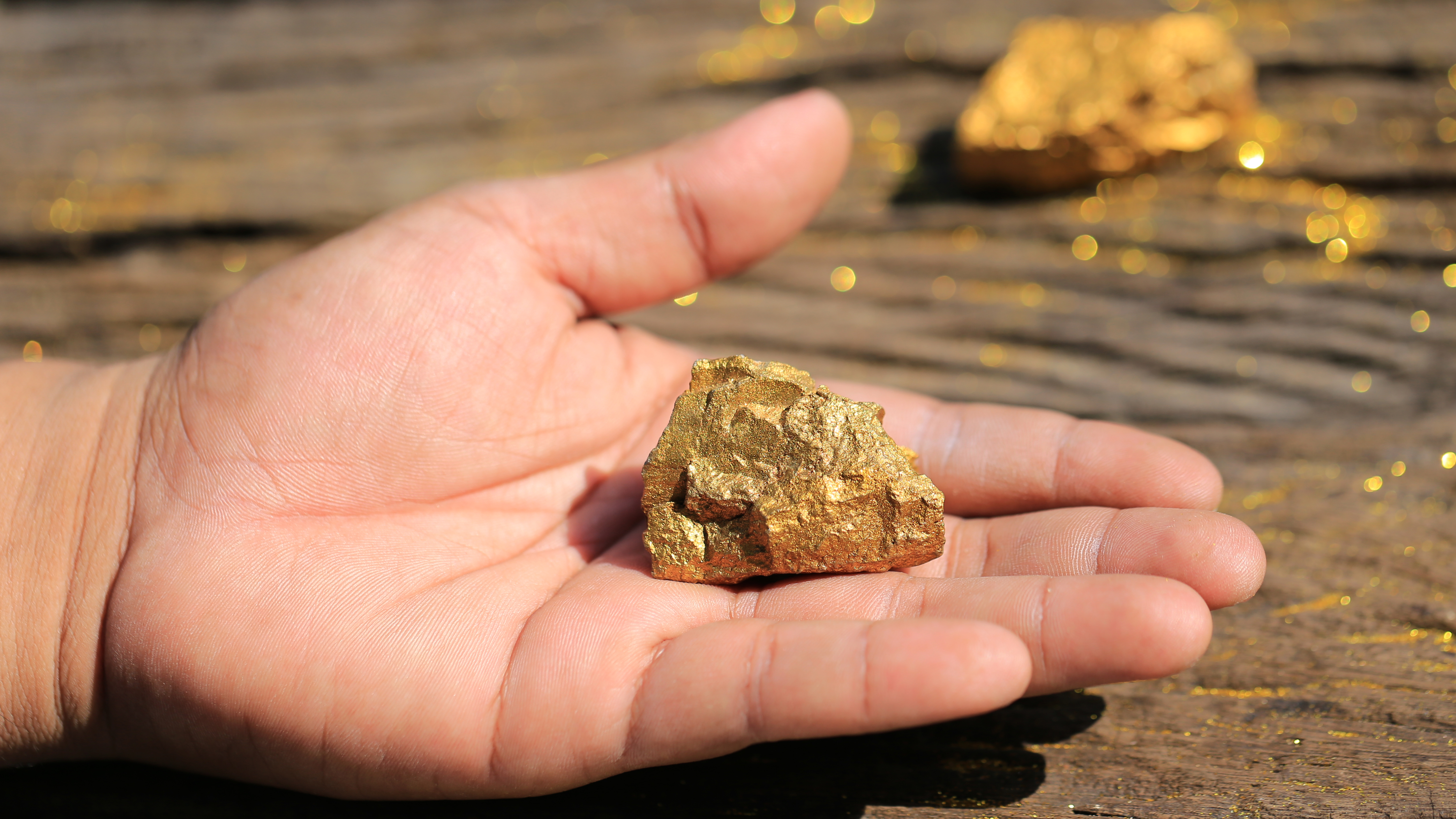 Zit er goud in de grond bij Nijverdal? Deze goudzoekers dachten van wel