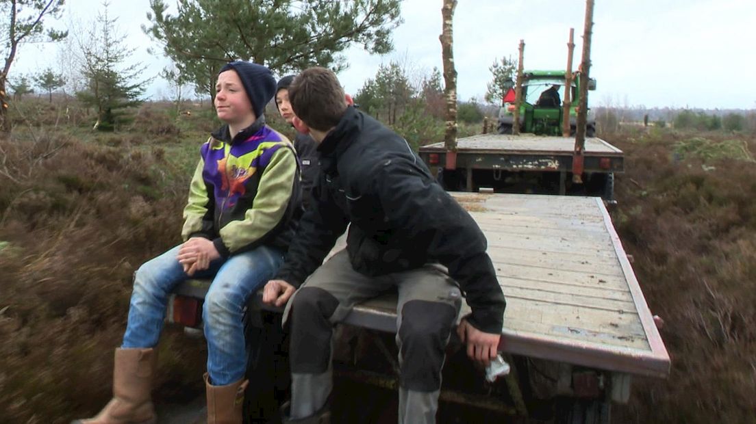 Jongeren Espelo sprokkelen hout op Sallandse Heuvelrug