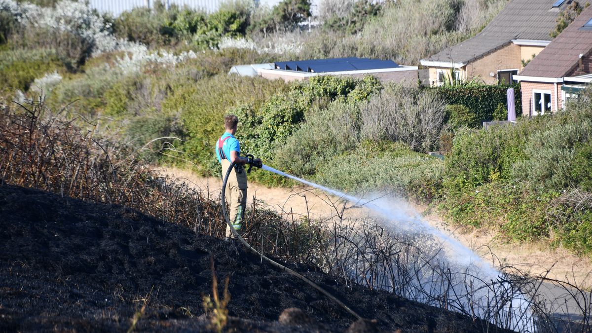 Zeeuwse brandweer druk met natuurbrandjes blussen