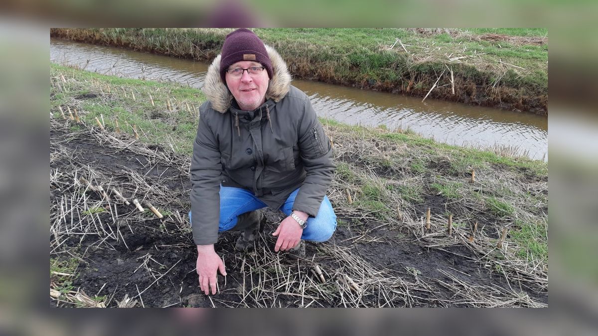 Eerste kievitseieren Waadhoeke, Súdwest-Fryslân en De Fryske Marren zijn gevonden