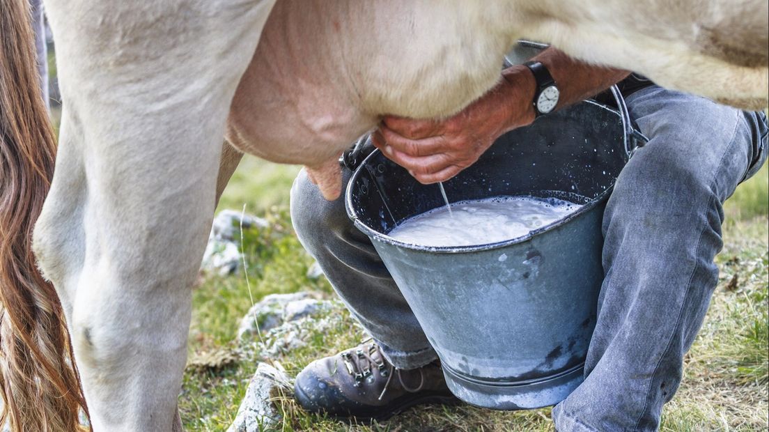 'Melkprijzen moeten omhoog'