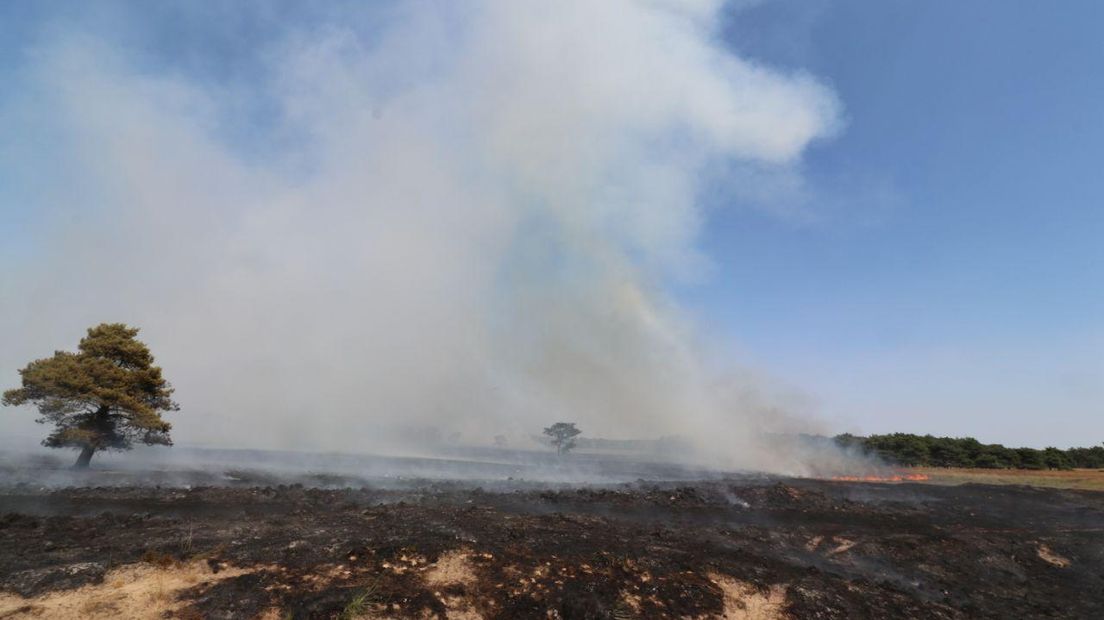 De verkoolde heide in het Doldersummerveld (Rechten: De Vries Media)