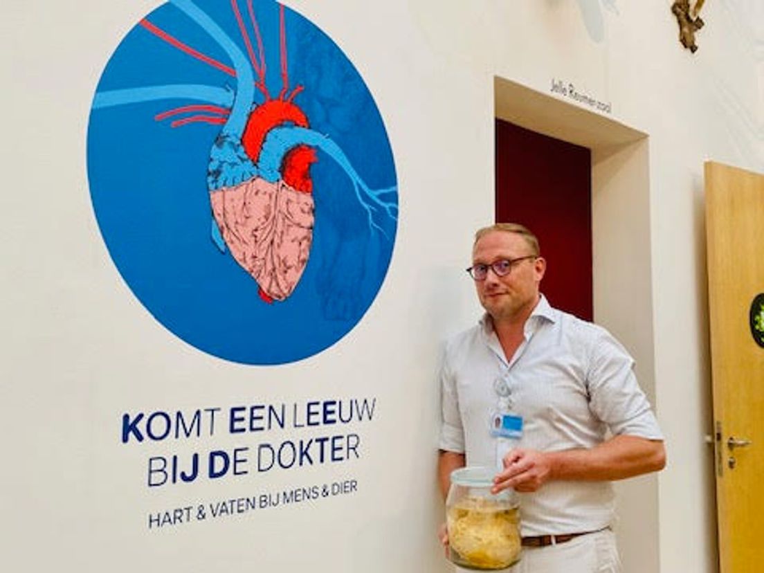 Kinderhartchirurg Yannick Taverne op de tentoonstelling over hart & vaten bij mens & dier in het Natuurhistorisch Museum