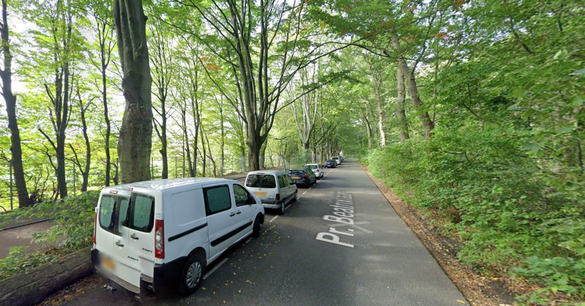 In deze laatste 'gratis' straten bij Kralingse Bos moet je straks ook