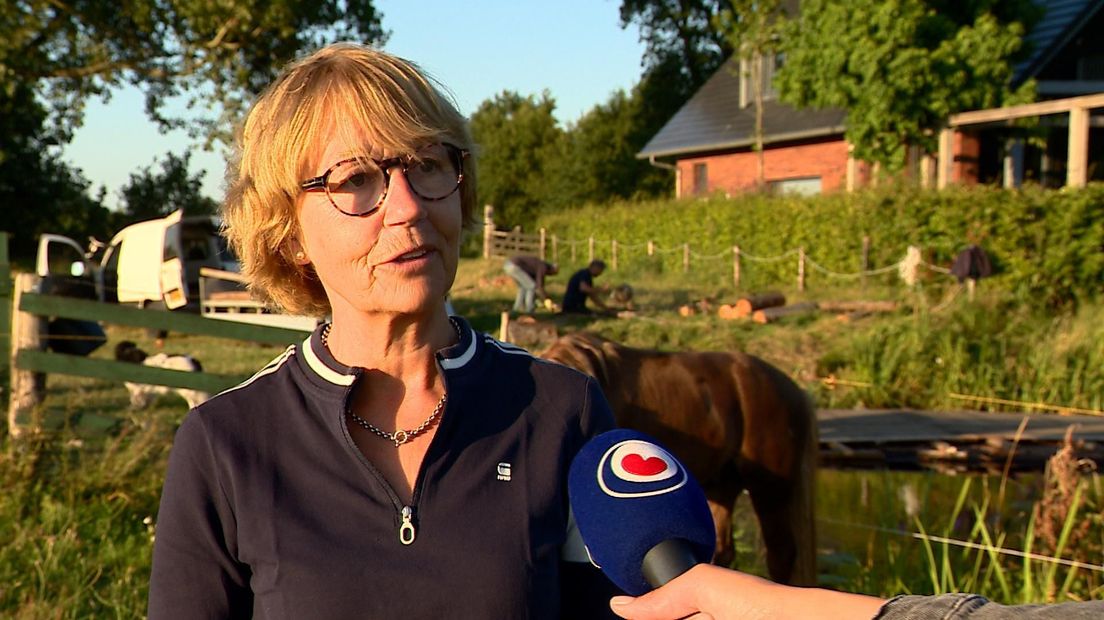 Van Den Berg Nij Beets