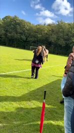 Paard rent voetbalveld op
