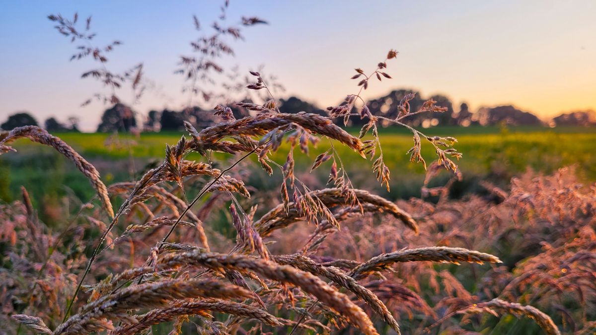 Limburg Kiekt: Arcen, Roermond, Swier en...