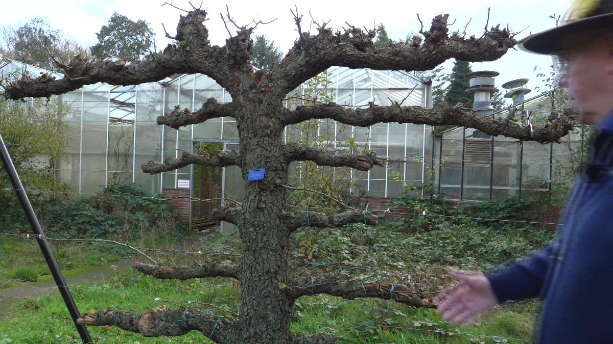 Plannen voor tuinbouwopleiding in Frederiksoord