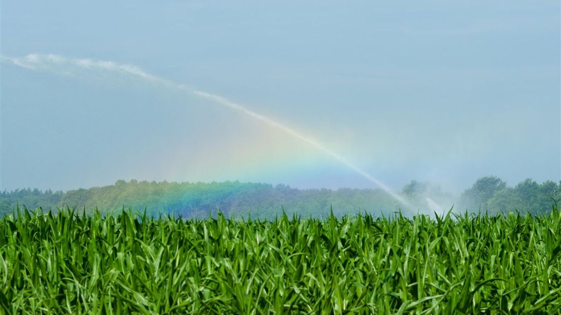 Droogteseizoen van start, waterschappen optimistisch door natte maanden