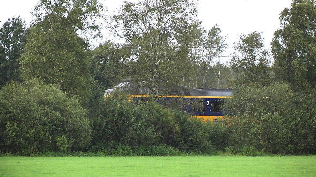 Een boom belandde op een trein tussen Zwolle en Groningen (Rechten: persbureau Meter)