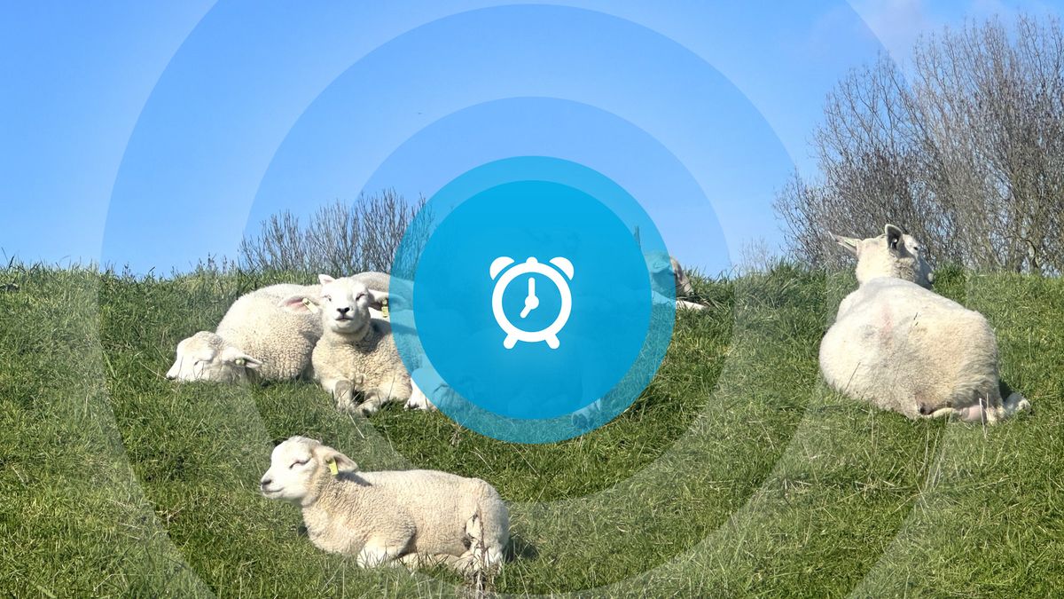 Goedemorgen! Militaire oefening Vlissingen, voorstelling Trump en Deltaweg afgesloten