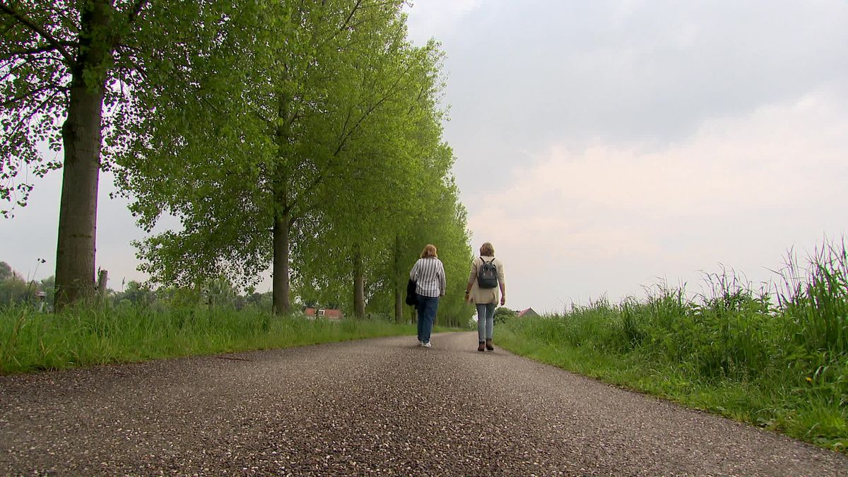 Nieuwe wandelroutes in Groot Saeftinghe