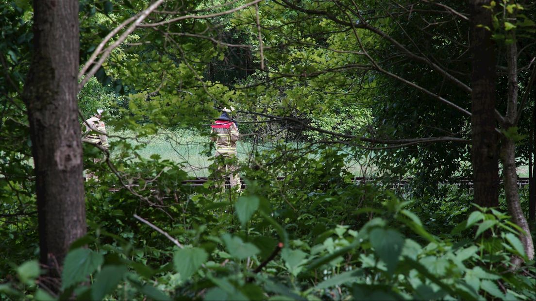 Trein botst op boom op het spoor bij Deventer