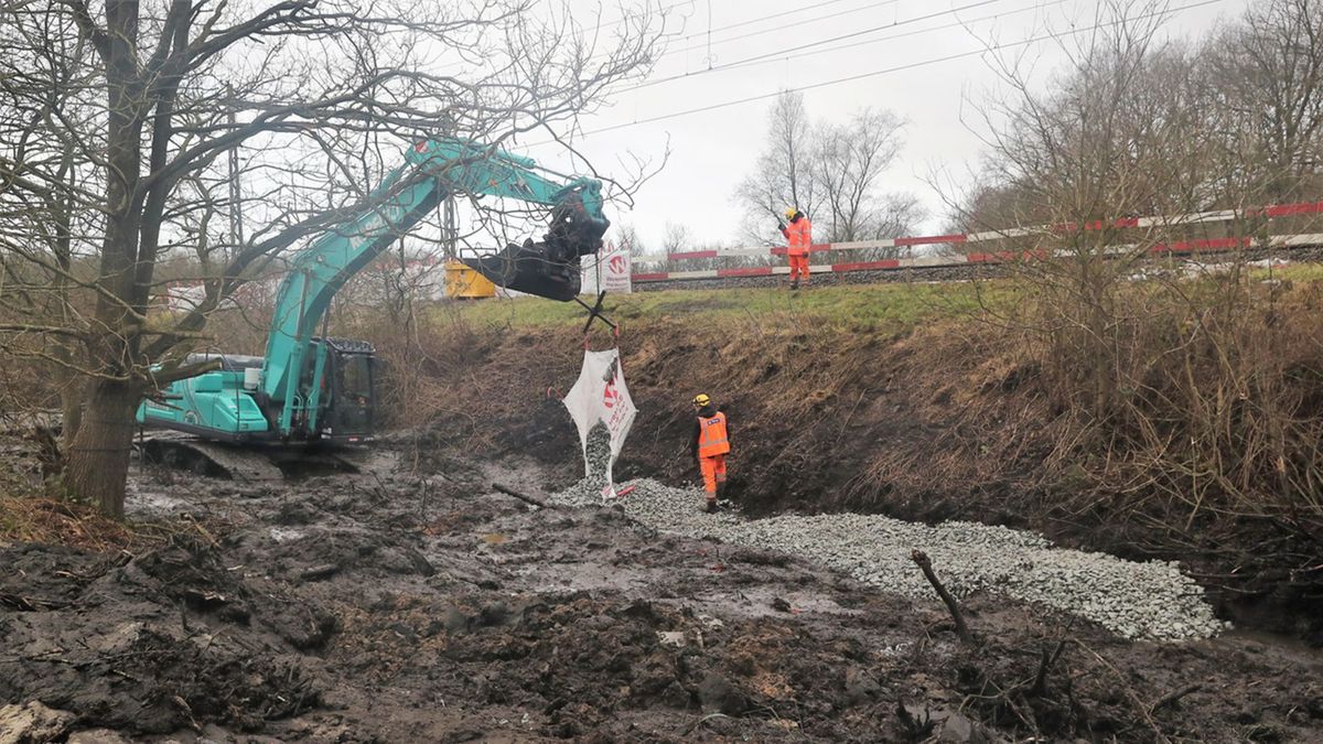 Proef bij spoor tegen graafdrift bever lijkt succesvol
