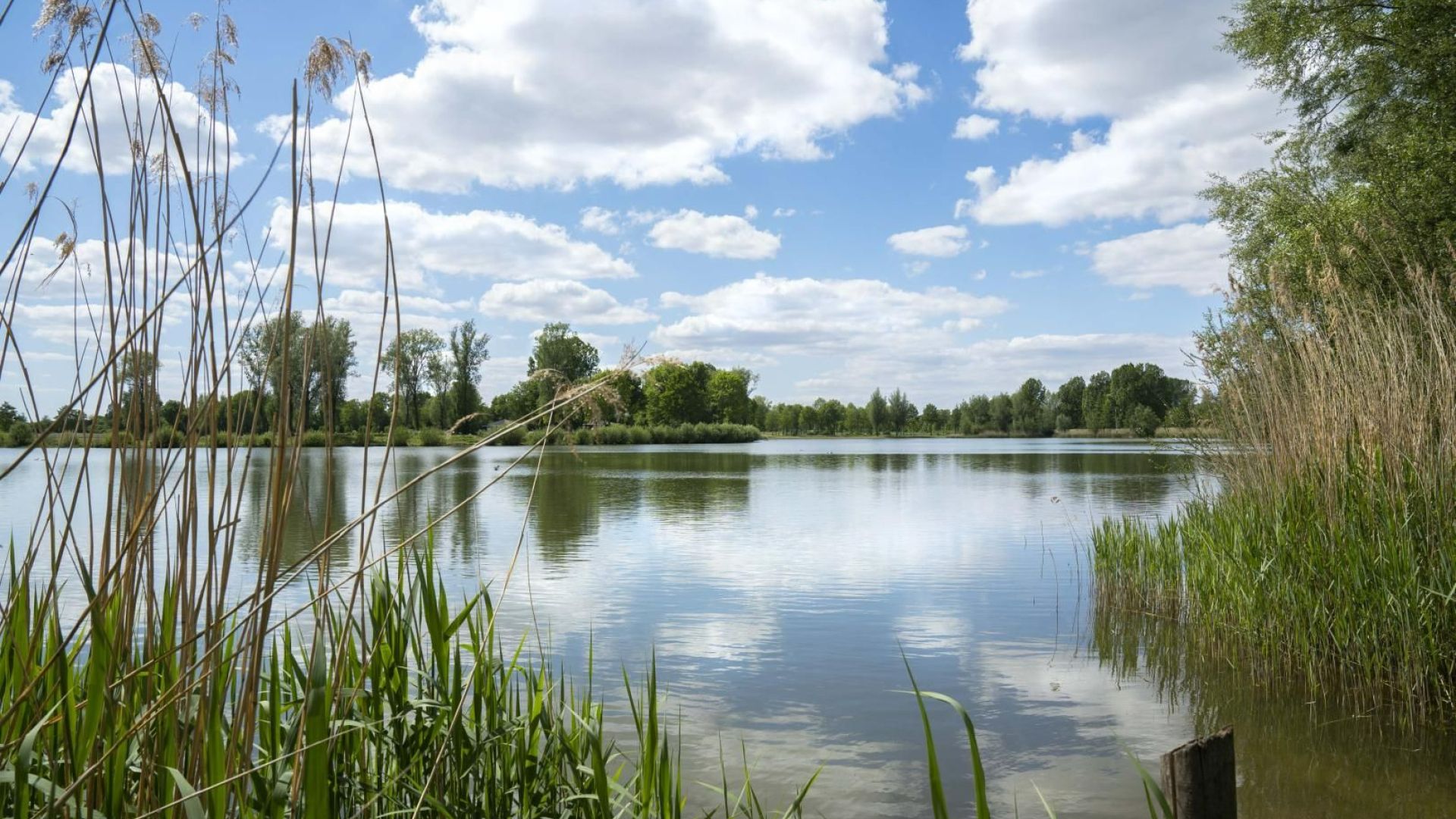 Slingeplas in Bredevoort, een recreatiegebied in de Achterhoek.