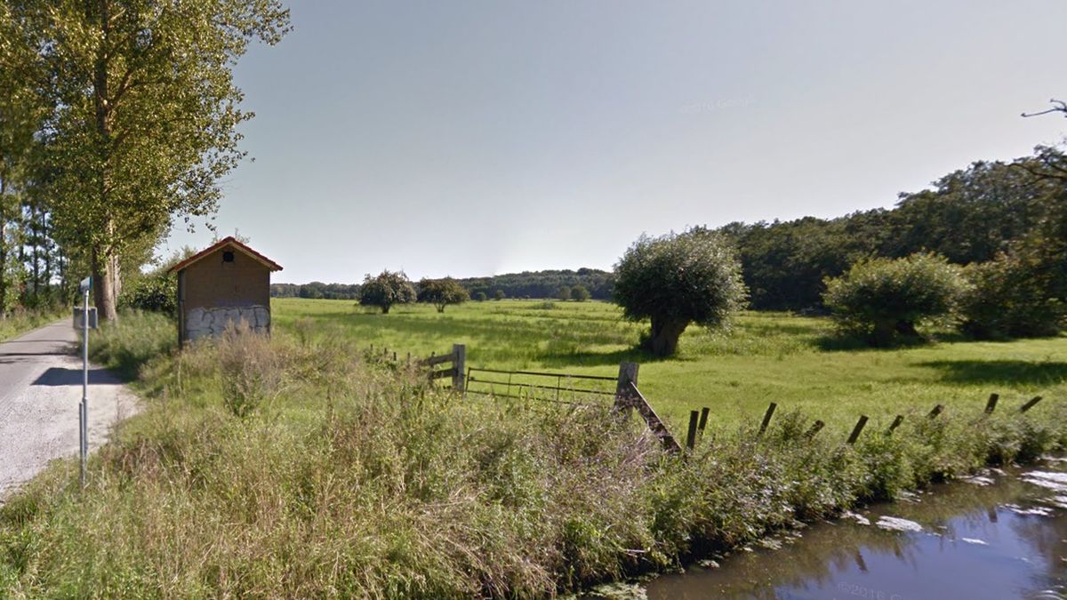 Staatsbosbeheer wil een nieuw bos tussen Leersum en Wijk bij Duurstede
