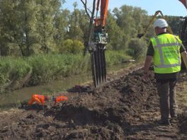 Waterschap plaatst gaas langs de dijken in Hoogvliet