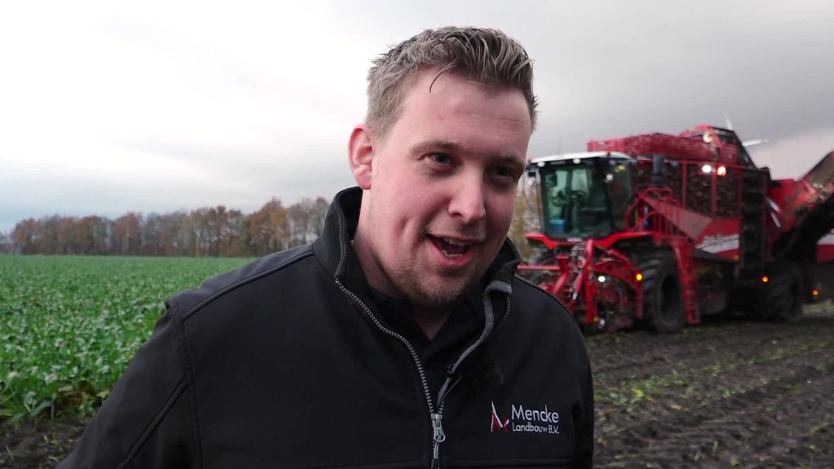Fosforbom tussen de bieten in Barger-Compascuum
