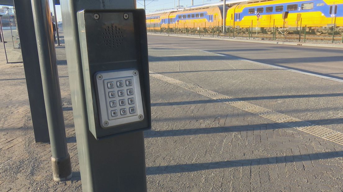 De luisterpalen op busstation Zwolle