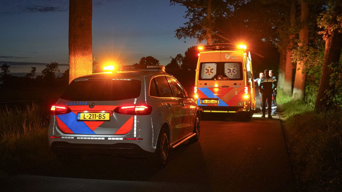 Automobilist gewond na botsing tegen boom bij Foxwolde RTV Drenthe