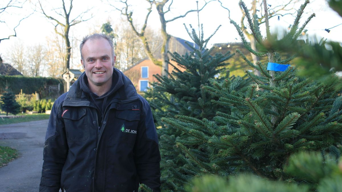 Rien de Jong (36) uit Exloo verkoopt al 25 jaar kerstbomen: 'Eerste kerstboom weggebracht met skelte