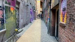De Papengang in stad Groningen, inmiddels helemaal voorzien van graffitikunst