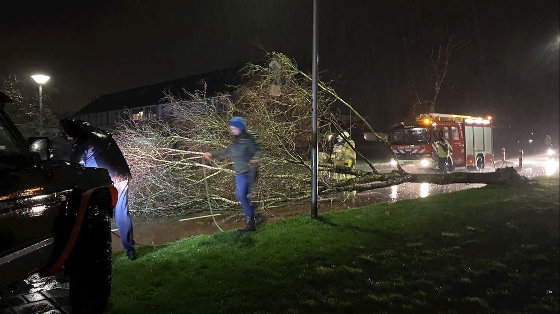 Een omgevallen boom zorgt voor problemen op de Wederiklaan in Kampen