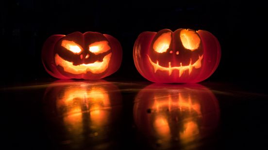 Halloweenavond SEA LIFE gaat niet door vanwege slechte kaartverkoop Halloweenavond SEA LIFE gaat niet door vanwege slechte kaartverkoop