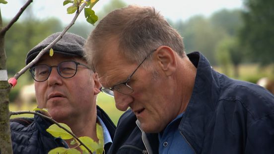 Foto: Broers Veldwijk verkiezen bouw woonwijk boven uitbreiding kalverstal