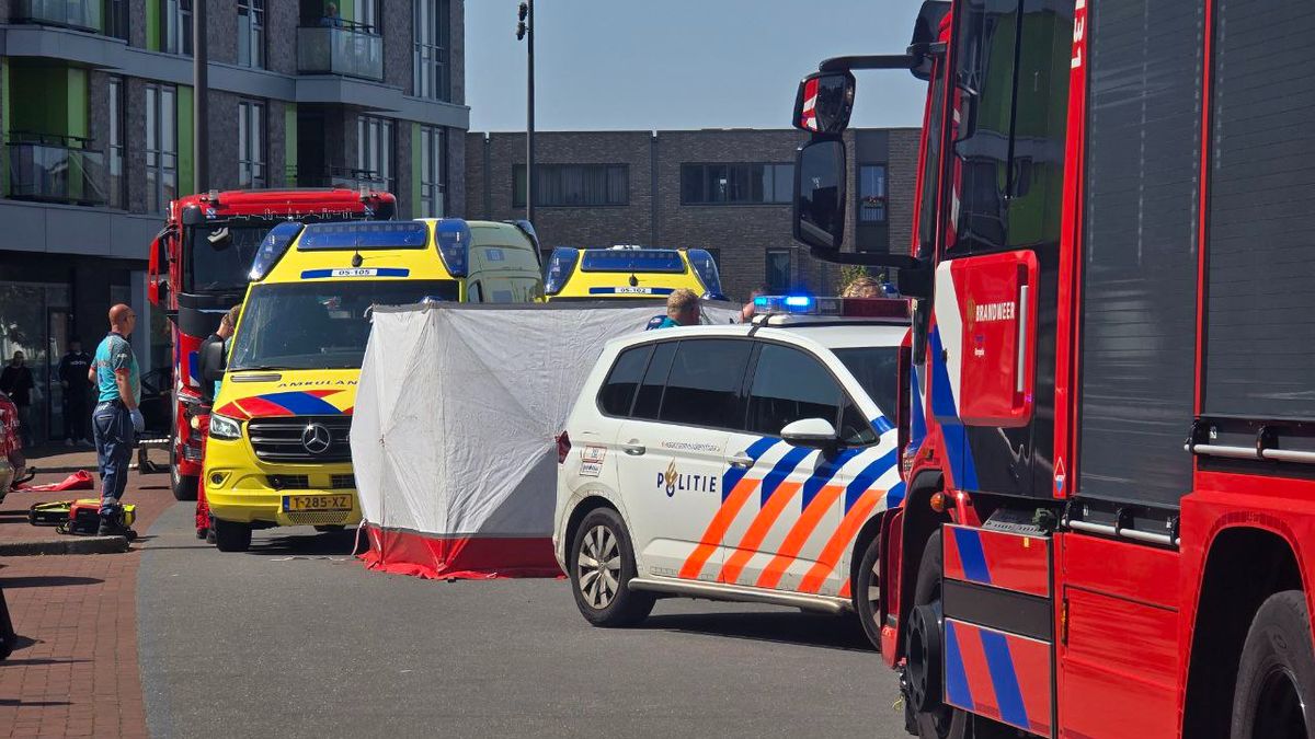 Nieuws uit Den Haag Omroep West