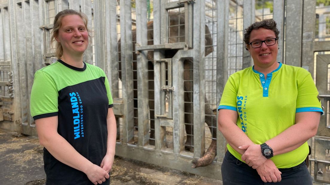 Olifantenverzorgers Lisa Schurman en Tamara van der Valk hebben het nog druk genoeg