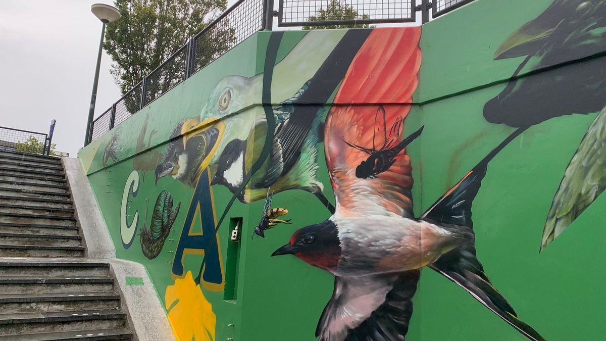 VIDEO: Het nieuwe 'graffitistation' Camminghaburen