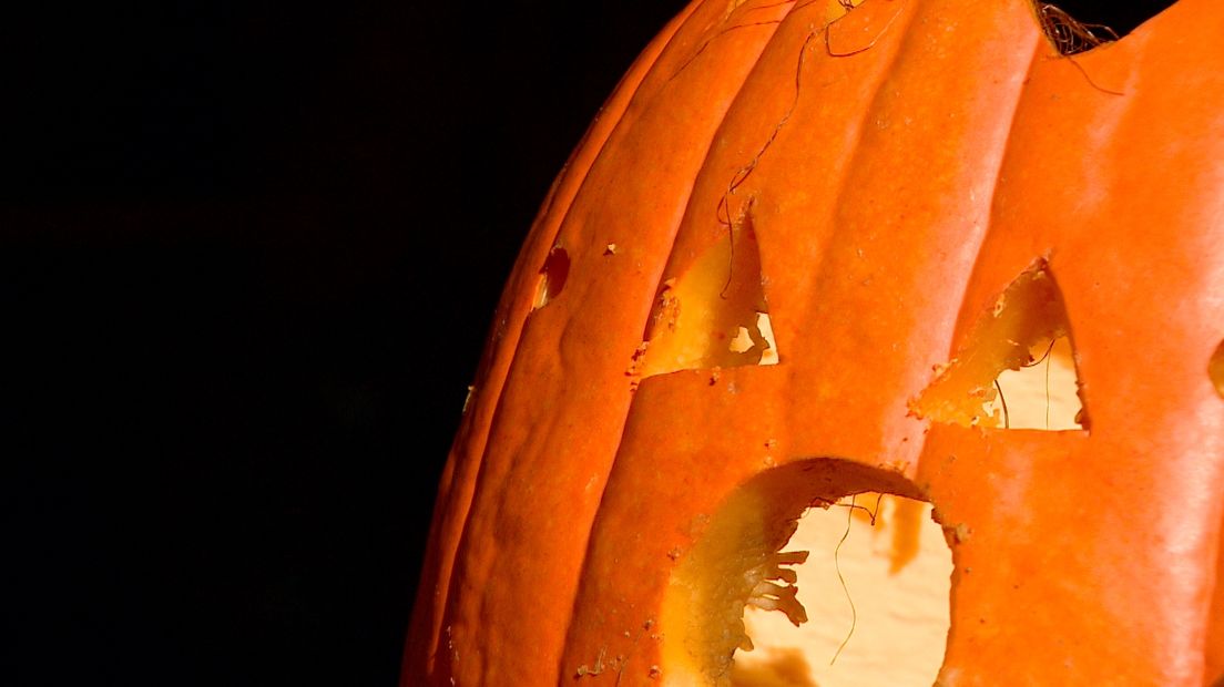 Halloween betekent drukte bij Charlotte in IJzendijke, ze heeft 400 verschillende soorten pompoenen