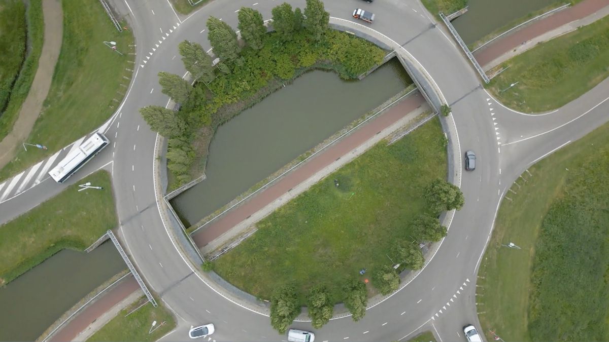 Het onopgemerkte ecosysteem: wat groeit en leeft er op de plekken waar we straal voorbijlopen